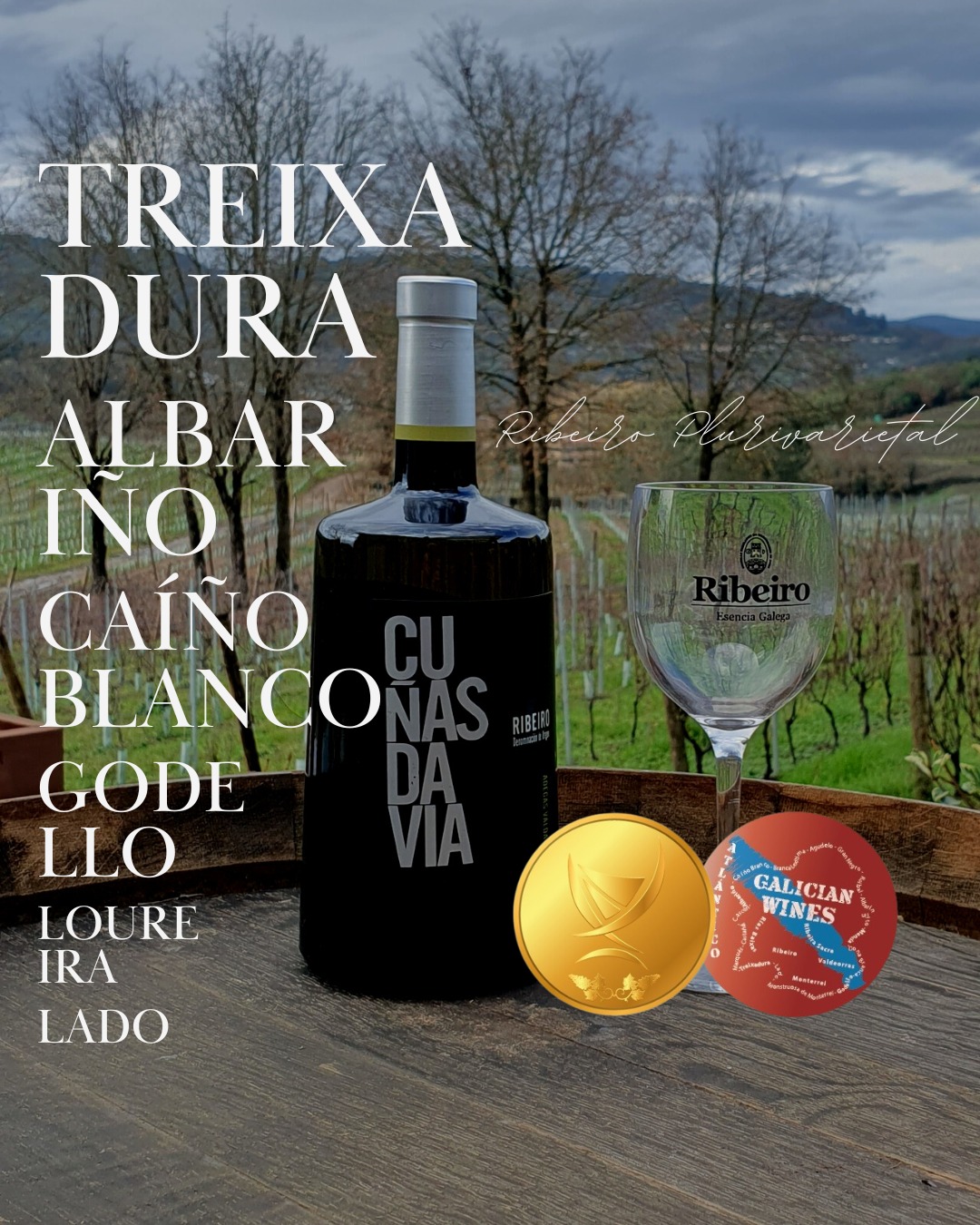 medalla de oro paadin para cuñas davia blanco sobre lías